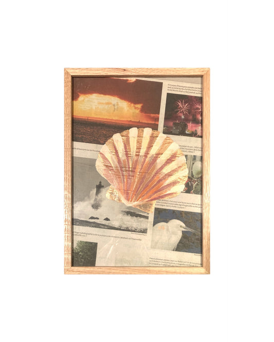 La Coquille